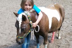 ponyhof meyerspark