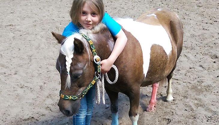 Kindergeburtstag auf dem Ponyhof - Ponyhof Meyers Park