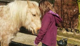 ponyhof meyerspark