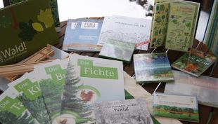 Naturerfahrung - Waldexkursion mit der Waldkiste - BiB Wuppertal (3)