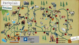 Tierspuren gießen - Wildpark Lüneburger Heide (8)