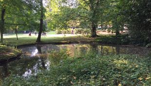 geocaching in düsseldorf suche im volksgarten