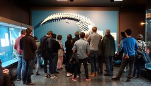 zoomuseum