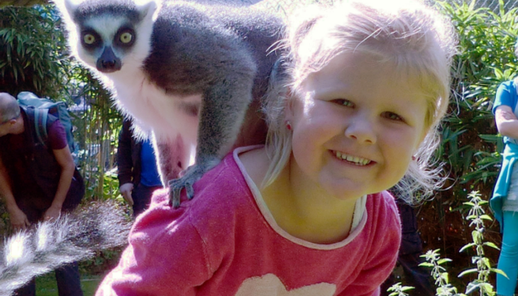 Dieser Kindergeburtstag wird wild!