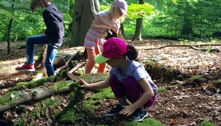 Den Wald mit allen Sinnen erleben