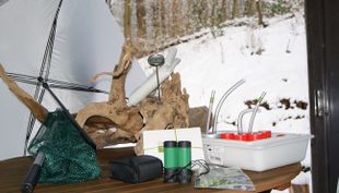 Naturerfahrung - Waldexkursion mit der Waldkiste - BiB Wuppertal (5)