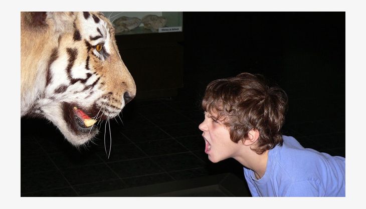 zoomuseum