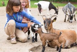 wildpark