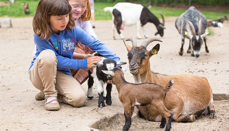 Bauernhofgeburtstag - Wildpark Lüneburger Heide